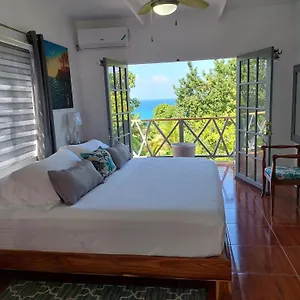 Alex's Place - Tim Pappies Apartment