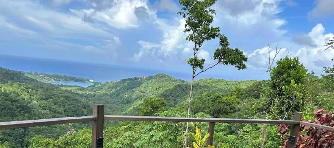 Modern Paradise Stylish Stay With Waterfall & Garden Views Port Antonio